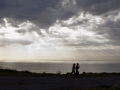 _IGP4436 pan